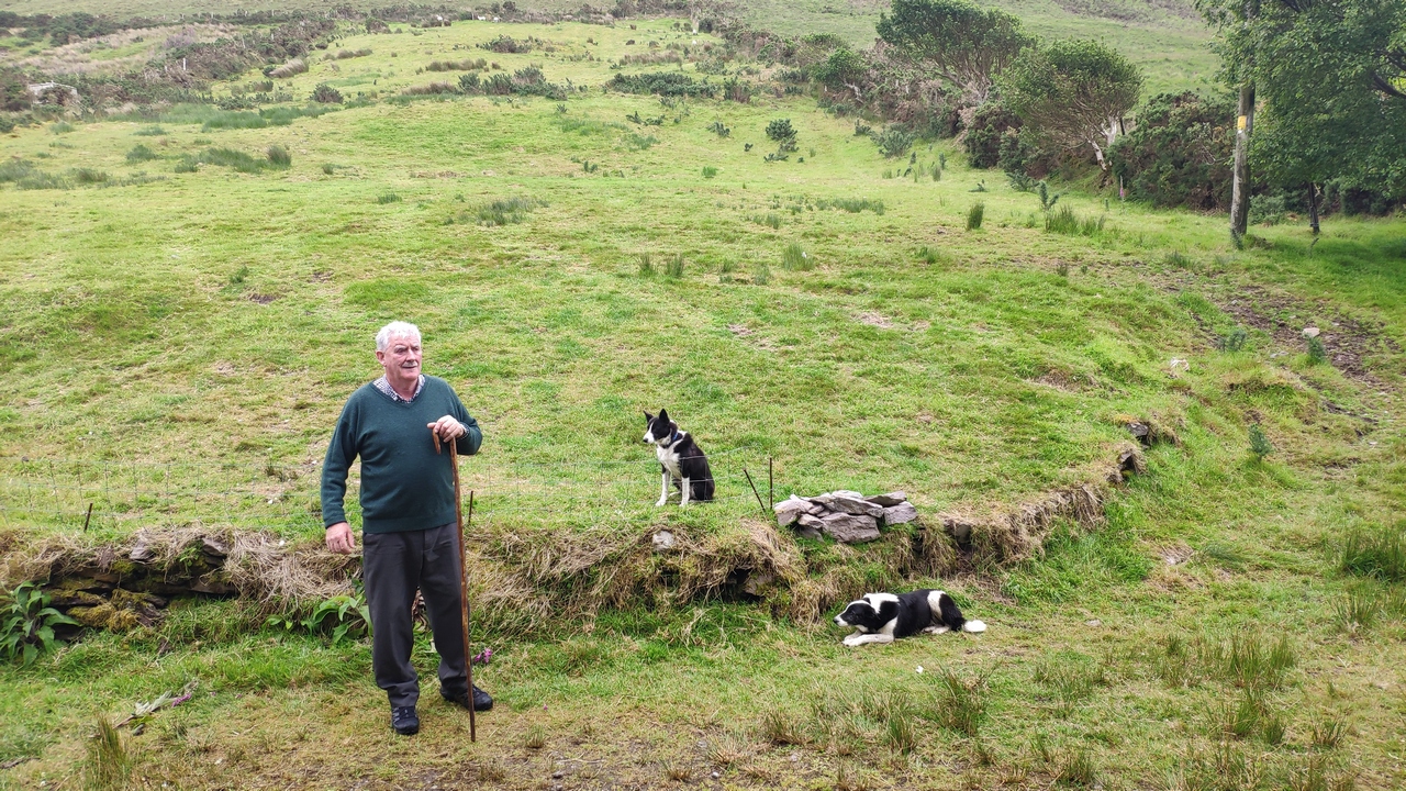 Le berger et ses montons lors du Ring of Kerry